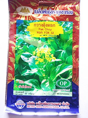 Organic (1000 Seeds) Green Bok choy-pak choi-pak choy-chard- No GMO Vegetable Seeds + Free Thai Food Recipe