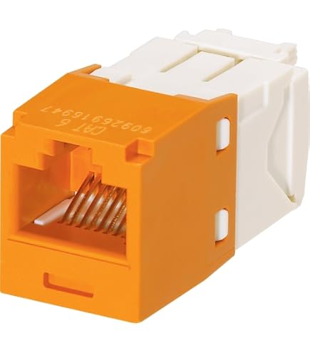 Panduit Mini-Com CJ6X88TGGR 10個 Amazon.com: Panduit CJ6X88TGGR UTP Jack Module : Electronics