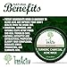 TreeActiv Turmeric Charcoal Acne Mask | Natural Treatment for Facial Blackheads, Severe and Cystic Acne | Clear Skin and Face | Exfoliating | 2 oz