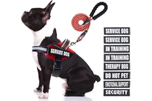 Service Dog Vest Harness and Leash Set, Animire in Training Dog Harness with 10 Dog Patches, Reflective Dog Leash with Soft Padded Handle for Small, Medium, Large, and Extra-Large Dogs (RED,M)