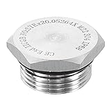 HARFINGTON 304 Stainless Steel Pipe Plug Fitting