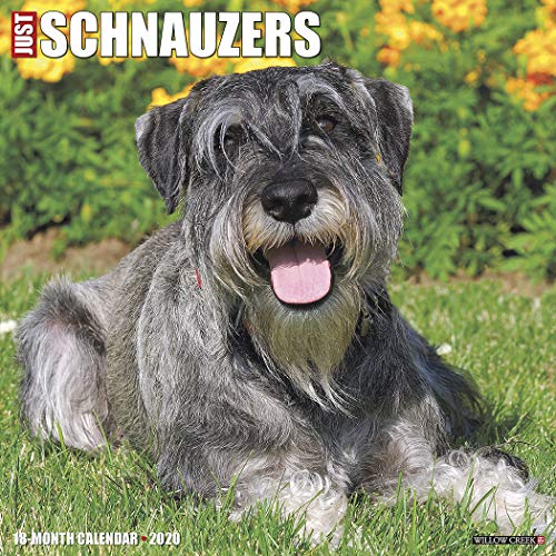 Just Schnauzers 2020 Wall Calendar (Dog Breed Calendar) by 