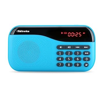 portronics fm radio