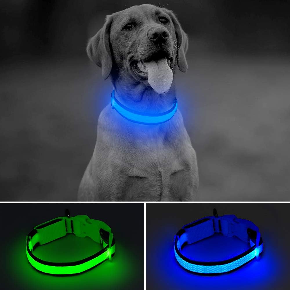 BSEEN LED Dog Collar USB Rechargeable Glowing Lighted Up Pet Collar, Lightweight
