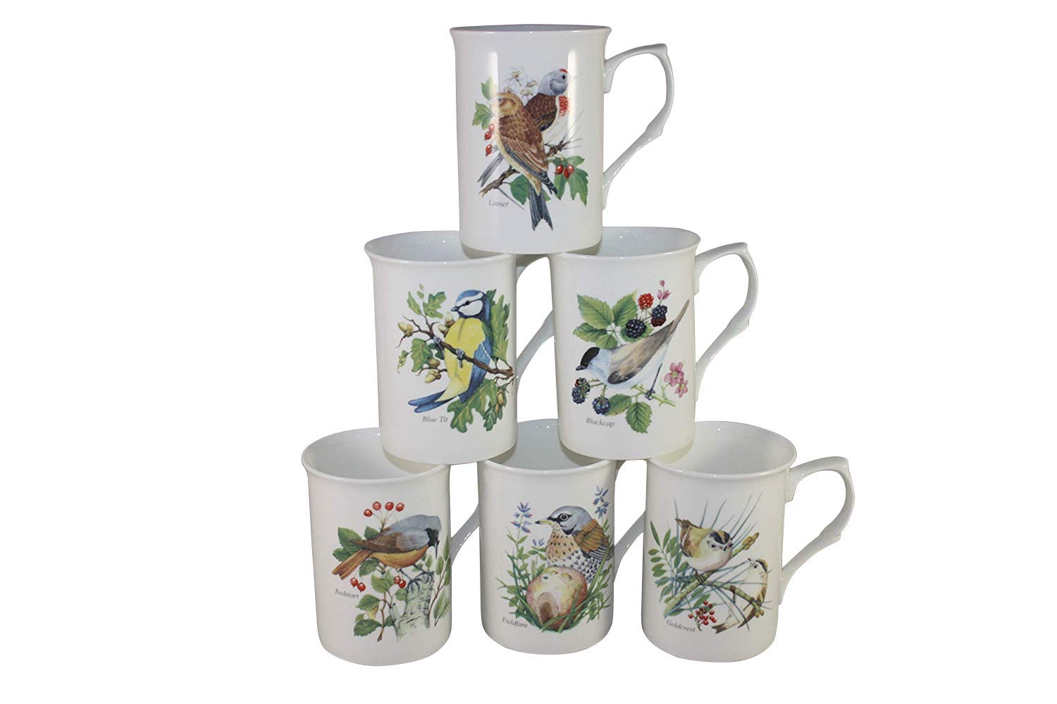 Set of 6 Beatiful Wild FINE Bone China Birds Mugs Cups Gift Set
