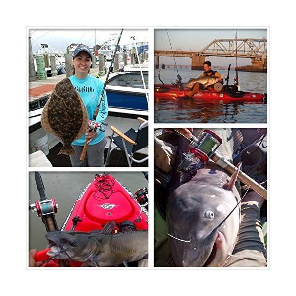 KastKing-Rover-Round-Baitcasting-Reel-No-1-Rated-Conventional-Reel-Carbon-Fiber-Star-Drag-Reinforced-Metal-Body-2016-Rover-RXA-Conventional-Reel-Inshore-and-Offshore-Saltwater-and-Freshwater-Reel-Awar