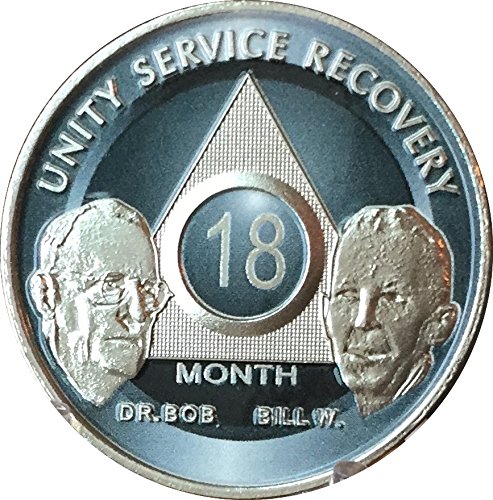 18 Month Founders AA Medallion Titanium Nickel Plated Chip Bill W & Doctor Bob