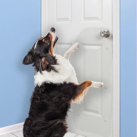 anti dog scratch door
