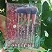 Unicorn Makeup Brushes, Coshine 7pcs Liquid Quicksand Glitter Makeup Brush Set With Crystal Pouch, Nylon Hair with Acrylic Handle