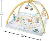 Fisher-Price Simply Senses Newborn Gym Playmat with Mobile Toy Arch view 6