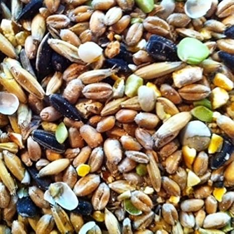 25kg Mecklenburger Landkörnerfutter III - mit genfreiem Soja