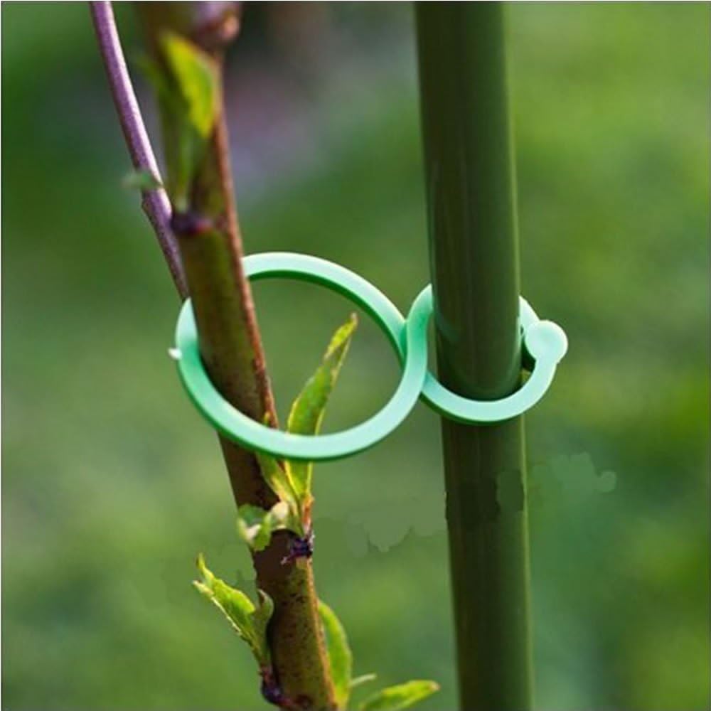 ISKYBOB 40 Piezas Soporte Plantas Clips Pinzas para Plantas ...