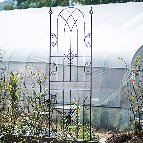 PLHMS Rankhilfe Metall Rankgitter 225x60cm, Groß Kletterhilfe Spalier, Rankgerüst, Rosen Gitterspalier, für… – Bild 4