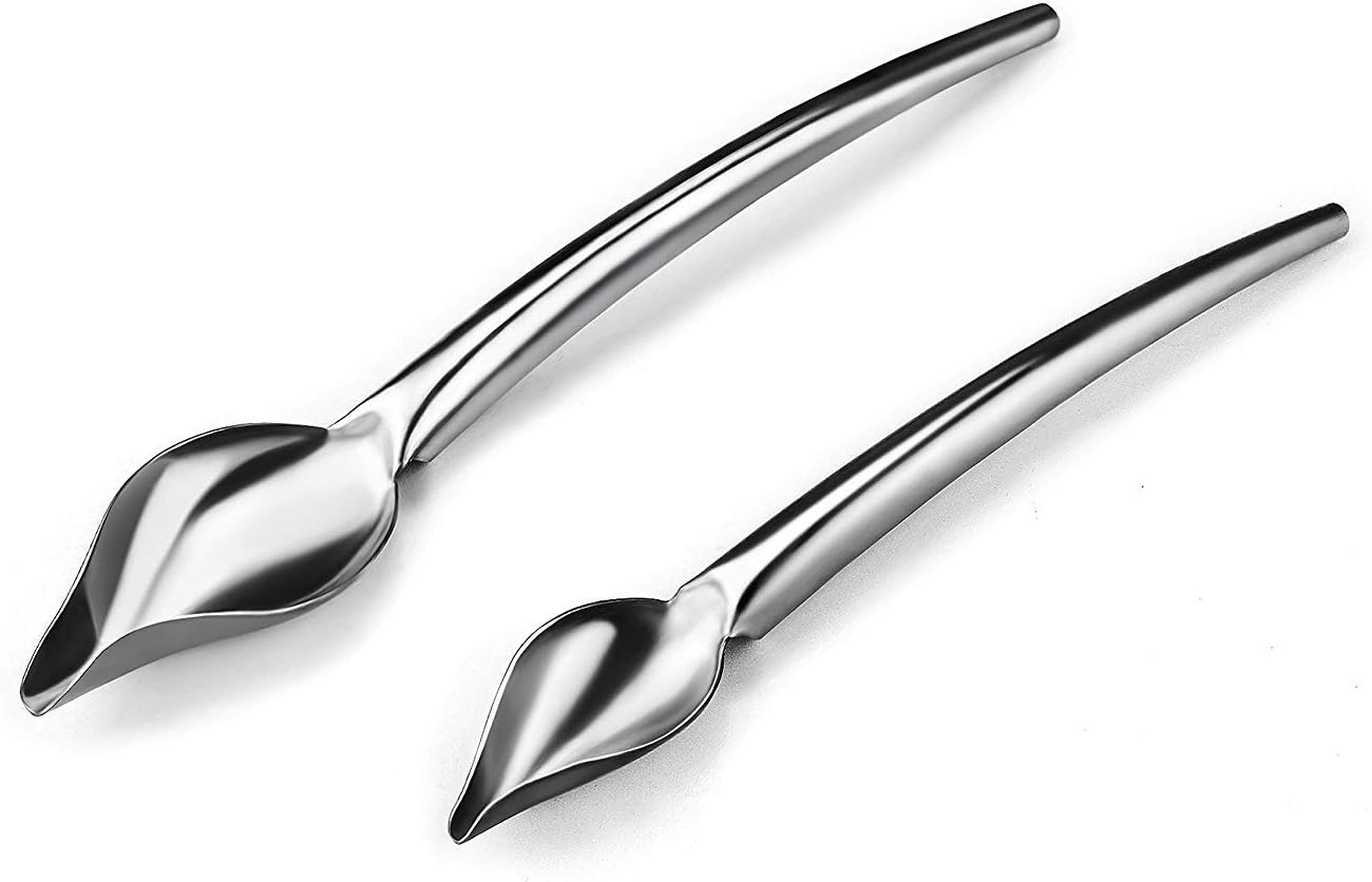 Deco Spoon Multi-use Precision Chef Culinary Drawing Spoons for Decorating Plates, Set of 2
