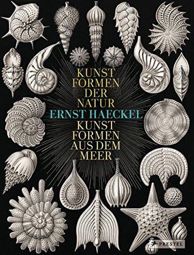 Ernst Haeckel: Kunstformen der Natur - Kunstformen aus dem Meer