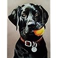 Dogs Playing Pool 1000 Piece Jigsaw Puzzle - Funny Animal Wooden Picture Puzzle For Adults & Families
