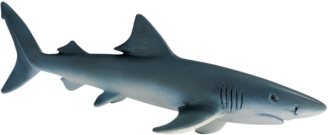 blue shark toy