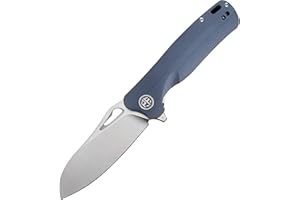 Petrified fish PF868 Bunta,3.35" D2 Satin Blade,146g G10 Handle Flipper Folding knife (Gray G10, Satin)