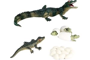 Momoplay Crocodile Animal Doll Toy, Crocodile Life Cycle Set, Suitable for Learning, Cake Decoration, Gift Bag Filling, Etc.