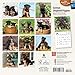German Shepherd Puppies 2015 Mini 7x7 (Multilingual Edition)