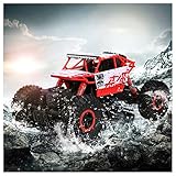 Arshiner RC Rock Crawler Monster Truck 1:18 Scale with Rechargeable Battery 25KM/H High Speed 2.4Ghz 4WD Shock-proof Off-Road Vehicle RC car for Kids (Red)