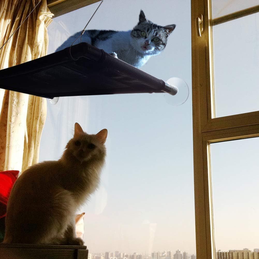 Cat Perch Cat Window Perch Window Cat Perch Hammock Cat Window Hammock Bed Cat Window Seat Kitty Window Sunny Seat Durable Big Pet Perch With Upgraded 4 Big Suction Cups Cat Bed Holds Up To 60lbs : Pet Supplies