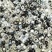 Miyuki Delica Seed Beads Size 11/0 Apparition Mix 7.2g DB-MIX12