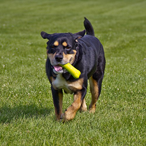 Hyper Pet Hyper Chewz Bone Chew Toy For Dogs