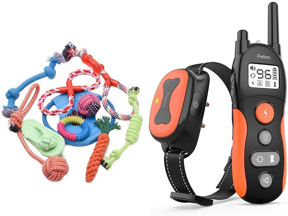 Petinn dog training collar Clearance