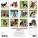 Just German Shepherd Puppies 2017 Wall Calendar (Dog Breed Calendars)