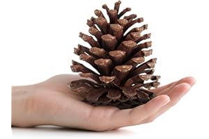 SZONEE 25 Pcs Large Natural Pine Cones for Crafts, 3" to 4" Tall Pine Cones Craft for Christmas, Table, Home Decor, Vase Fillers, Desk & Christmas Trees, Unscented Pinecones Crafts Ornament for Decorating