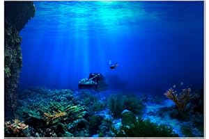 FILFEEL Aquarium Background Fish Tank Decorations Pictures 3D Effect PVC Adhesive Poster Underwater World Backdrop Decoration Paper Cling Decals Sticker (76 x 46cm)