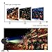 Innoo tech L2012-Y-01 Decoration Holiday Christmas Lights Projector with RF Remote for Outdoor, Red & Green