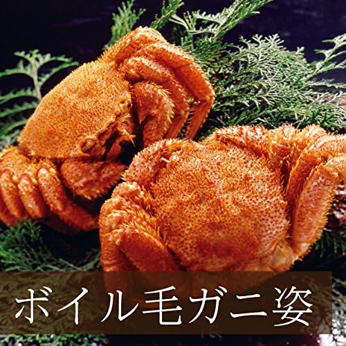 Amazon ボイル毛がに姿 2尾セット 毛蟹 北海道産 通販 毛ガニセット 冷凍 茹で毛ガニ けがに ボイル済み 400g 2 2はい 2杯 2尾 贈答用 ご贈答品 おすすめ 本格 本場 絶品 美味しい おいしい かにみそ 通販パーク カニ 通販