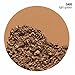 COVERGIRL Queen Lasting Matte Pressed Powder Foundation Light Golden, .37 Ounce (packaging may vary)