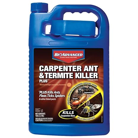 Bayer Agenda Ec 500ml Termite Control Rs 752 Bottle Allout Pest