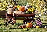 Yeele 7x5ft Autumn Harvest Festival Backdrop