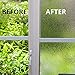 Mikomer Privacy Window Film,Decorative Glass Door Film,Static Cling Window Tint,Removable/No Glue/Anti UV for Home and Office Decoration,35In. by 78.7In.