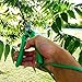 VNX ProGarden Premium Quality Bypass Pruning Shears, Scissors, Hand Pruners, Garden Shears, Clippers, Bonsai Cutters, Tree Trimmers, Excellent Garden Tools, Best Gift for Gardeners, Green