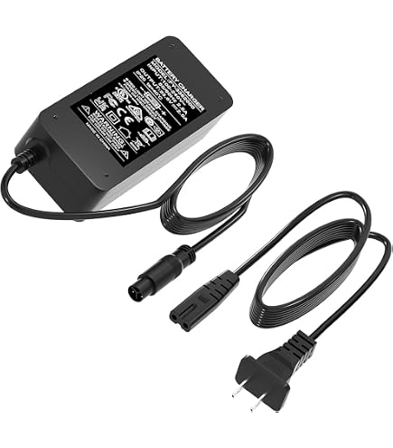 Amazon.com: YIBEICO Battery Charger for Super 73 ZX/S2/RX/Z S R