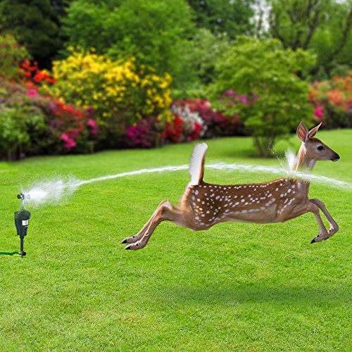 Hoont Cobra Deer Repellent Cat Repellent Outdoor & Cat Deterrent Motion Activated Sprinkler