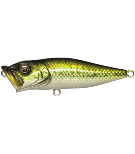 Amazon.com : Megabass POP-X Topwater - GG Wild Gill : Sports