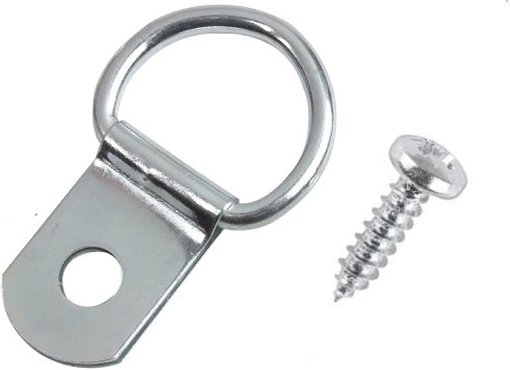 Taskar D Rings Picture Frame Hanging Hardware 10 Pack with Screws 28x17mm
