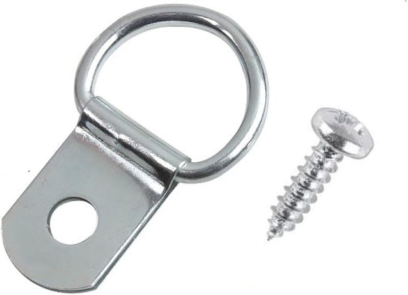 Taskar D Rings Picture Frame Hanging Hardware 10 Pack with Screws 28x17mm