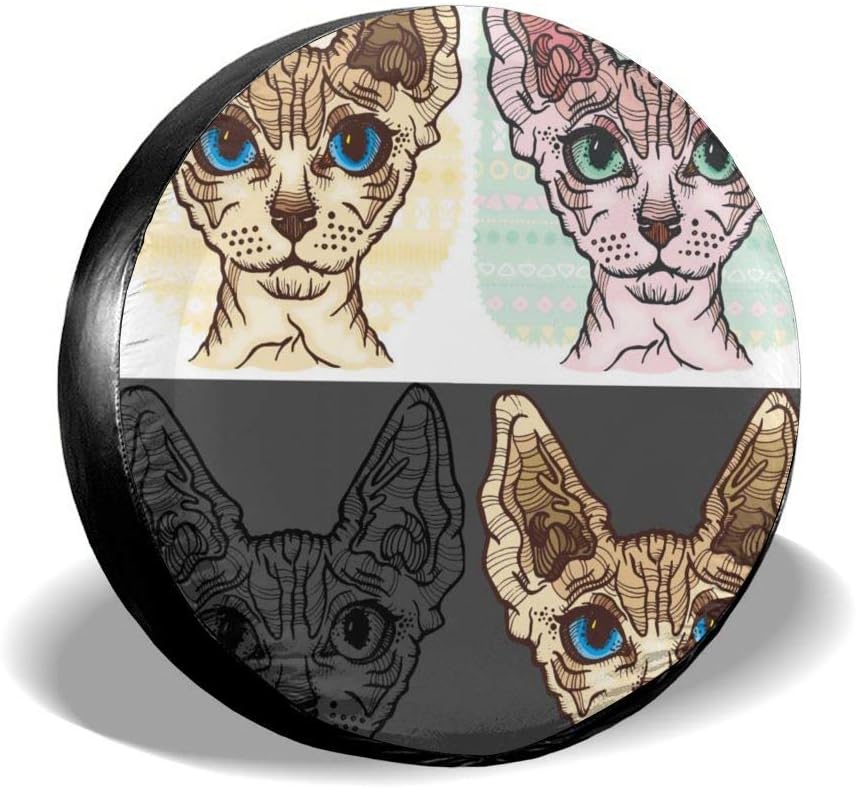 sphynx cat wheel