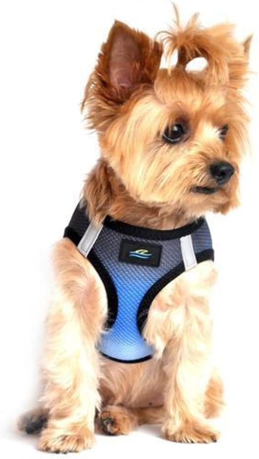 no choke harness for small dogs