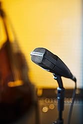 Sennheiser Pro Audio Professional MD 421-II