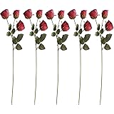Honitra 5PCS Dried Rose Plant for Home Decoration, Vase Decoration, Wedding Decoration, Suitable for Home Flower Decor
