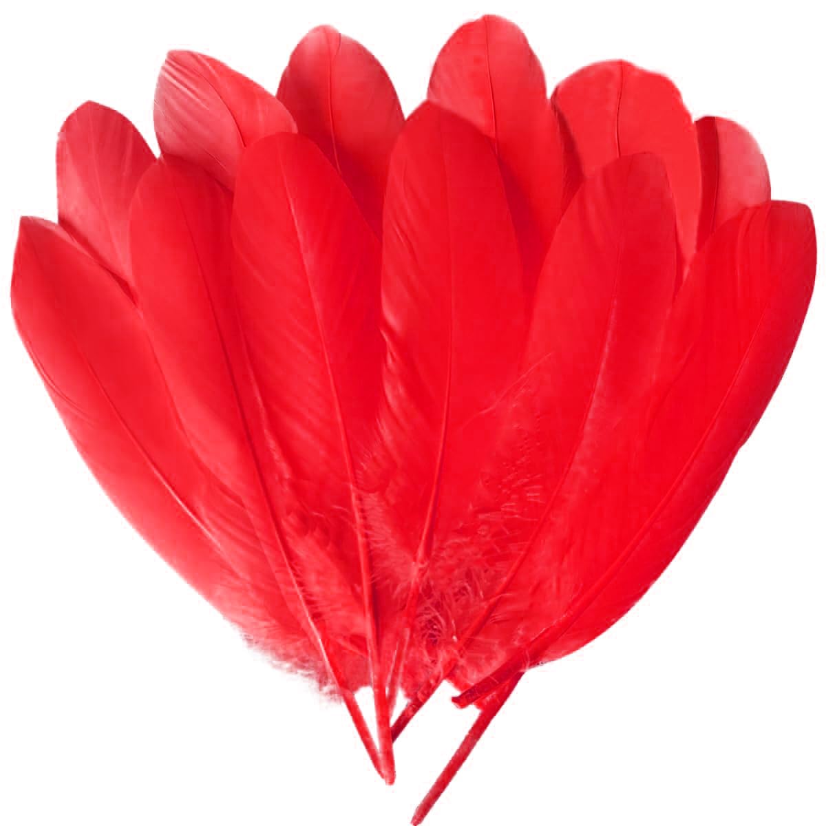 Photo 1 of 100PCS Red Goose Feathers 6-8Inch for Crafts Christmas Cosplay Clothing Accessories Dream Catchers Wedding Party Decorations