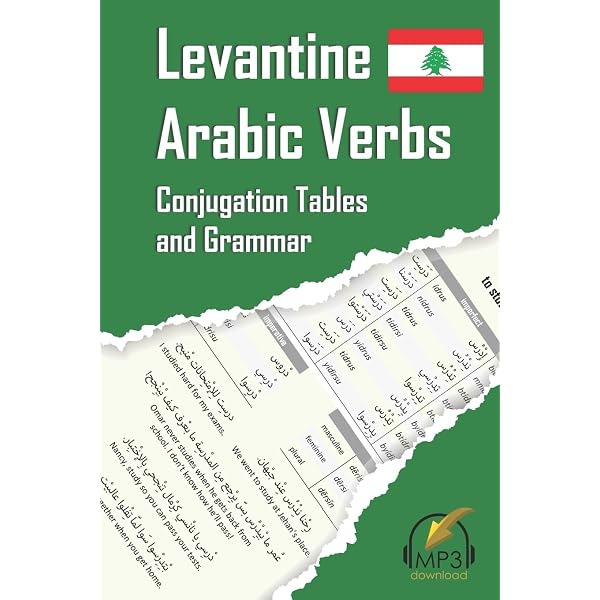 Amazon.com: 501 Arabic Verbs: Fully Conjugated in All Forms